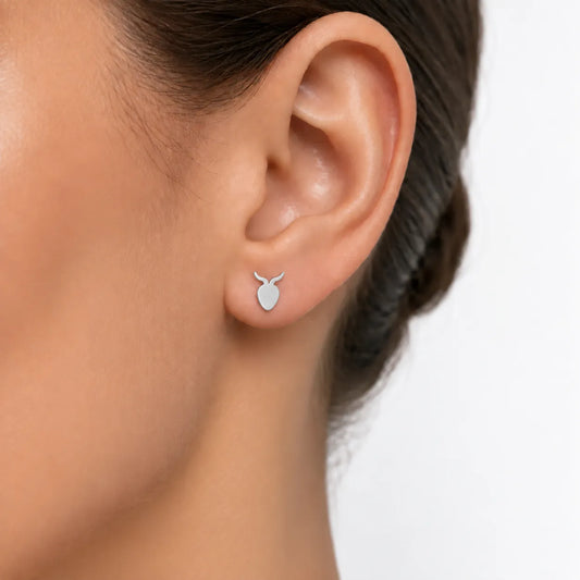 Pendientes Dimonis Plateados