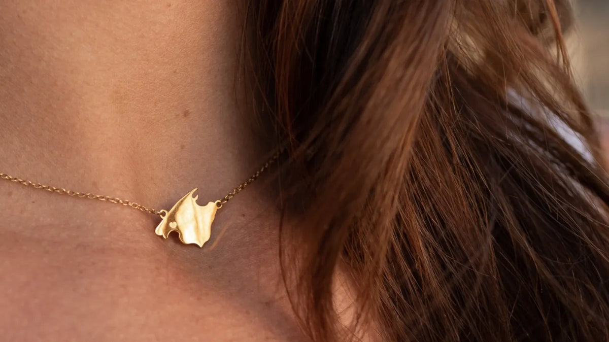 Collares
