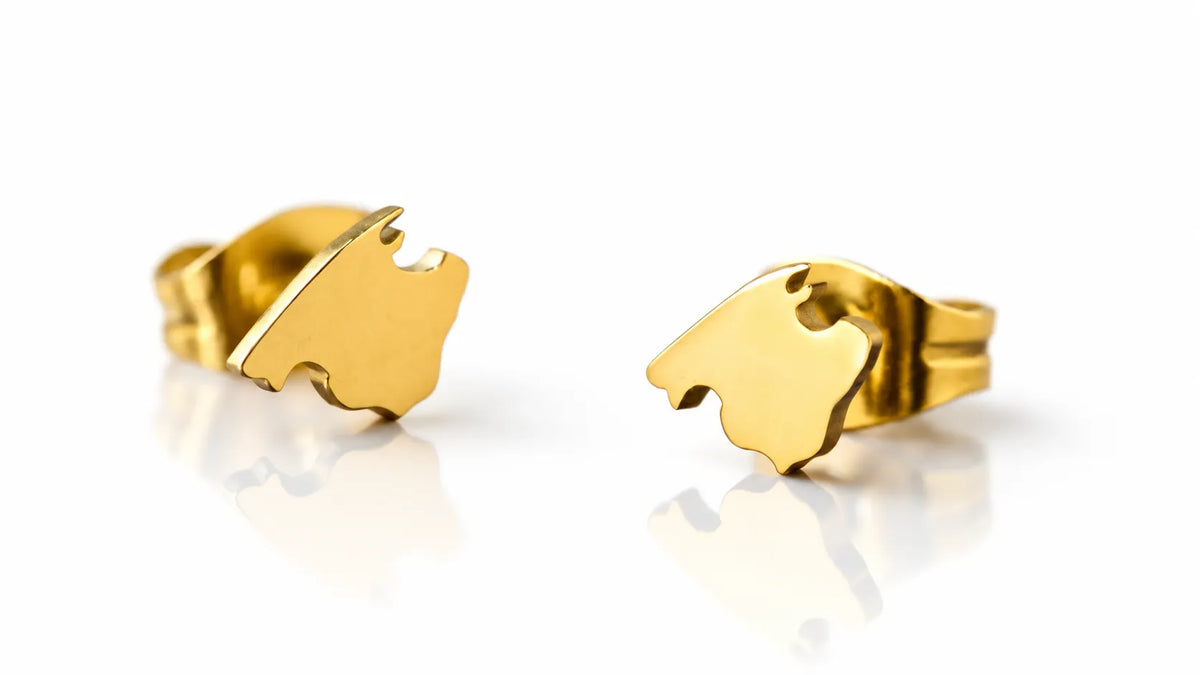 Pendientes
